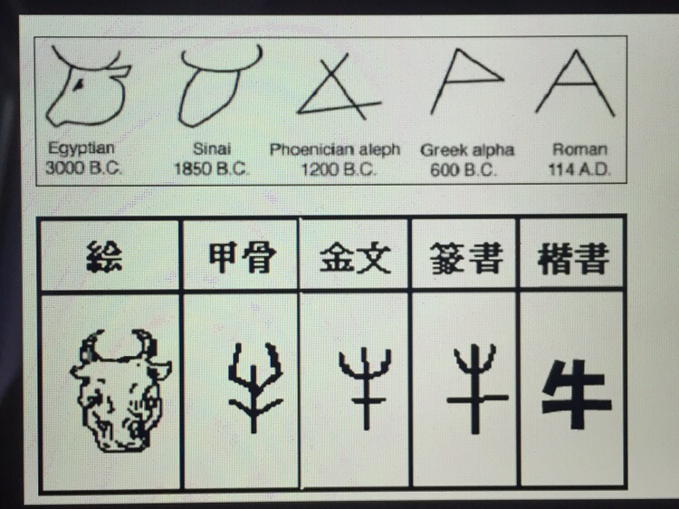 漢字の成り立ちには 目で見た形を線で描いた象形文字がありました ローマ字も同じです ローマ字の A は牛の象形由来です エジプトから来ています 例 M N O 時間が経ったので 発音は変わりました 例えば 現代 A あ の発音は鳥の象形